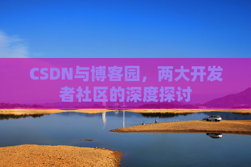 CSDN与博客园，两大开发者社区的深度探讨